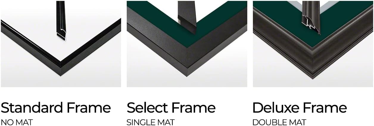 2025 Super Bowl Champions, Philadelphia Eagles - Single Mat, Select Framed Picture by Blakeway Panoramas (41.5'W x 15.5'H)