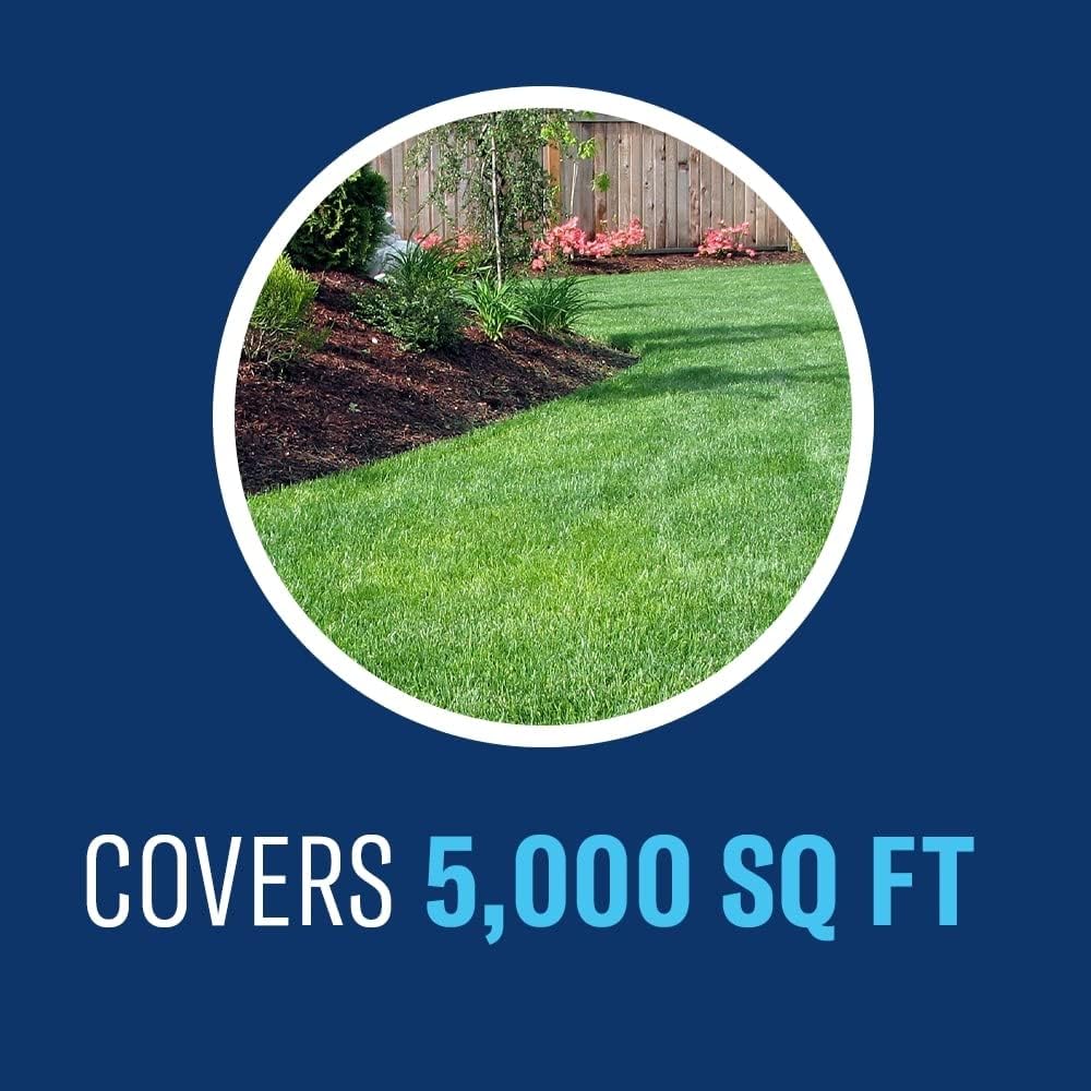 BioAdvanced Fungus Control for Lawns, Ready-to-Spray, 32 fl oz, 5,000 Sq Ft, Lawn Fungicide (Pack of 8)