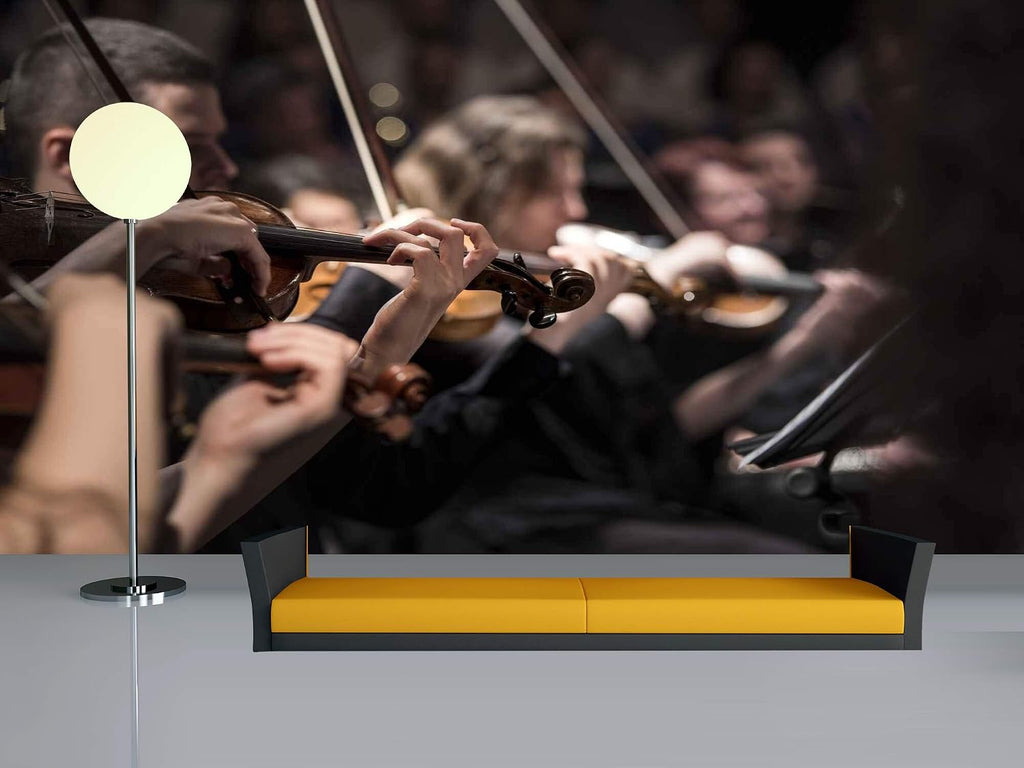 Avikalp Exclusive Awi4689 Classical Music Music Instrument Song Full HD Wallpapers (12 x 10 ft)