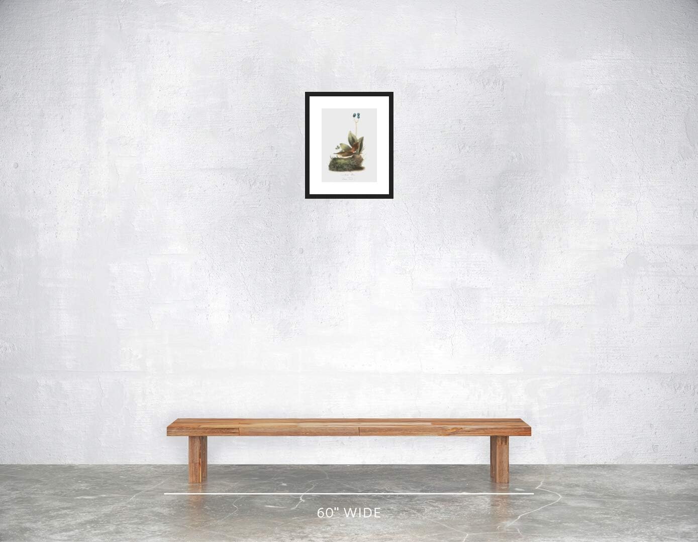LIVESTOCK Classic Prints Gallery Rock-Wren Bird Wall Art by Famed Illustrator John James Audubon, 18th Century Retro Vintage Bird Print Painting, Black frame, 9x12 print in 13x16 frame