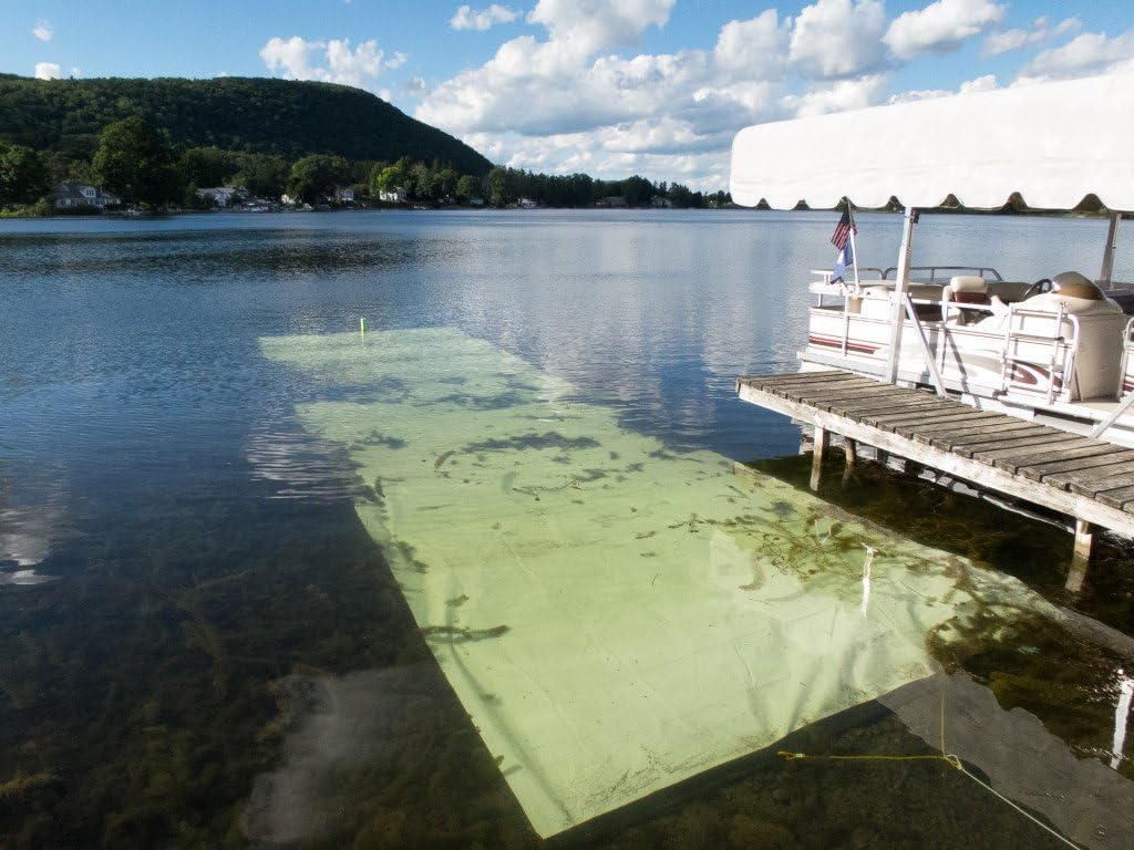 Aquatic Weed Control | Chemical-Free Vegetation Inhibitor for Lakes & Ponds | Benthic Barrier | Instant Weed Free Swimming (10.75 feet x 40 feet)