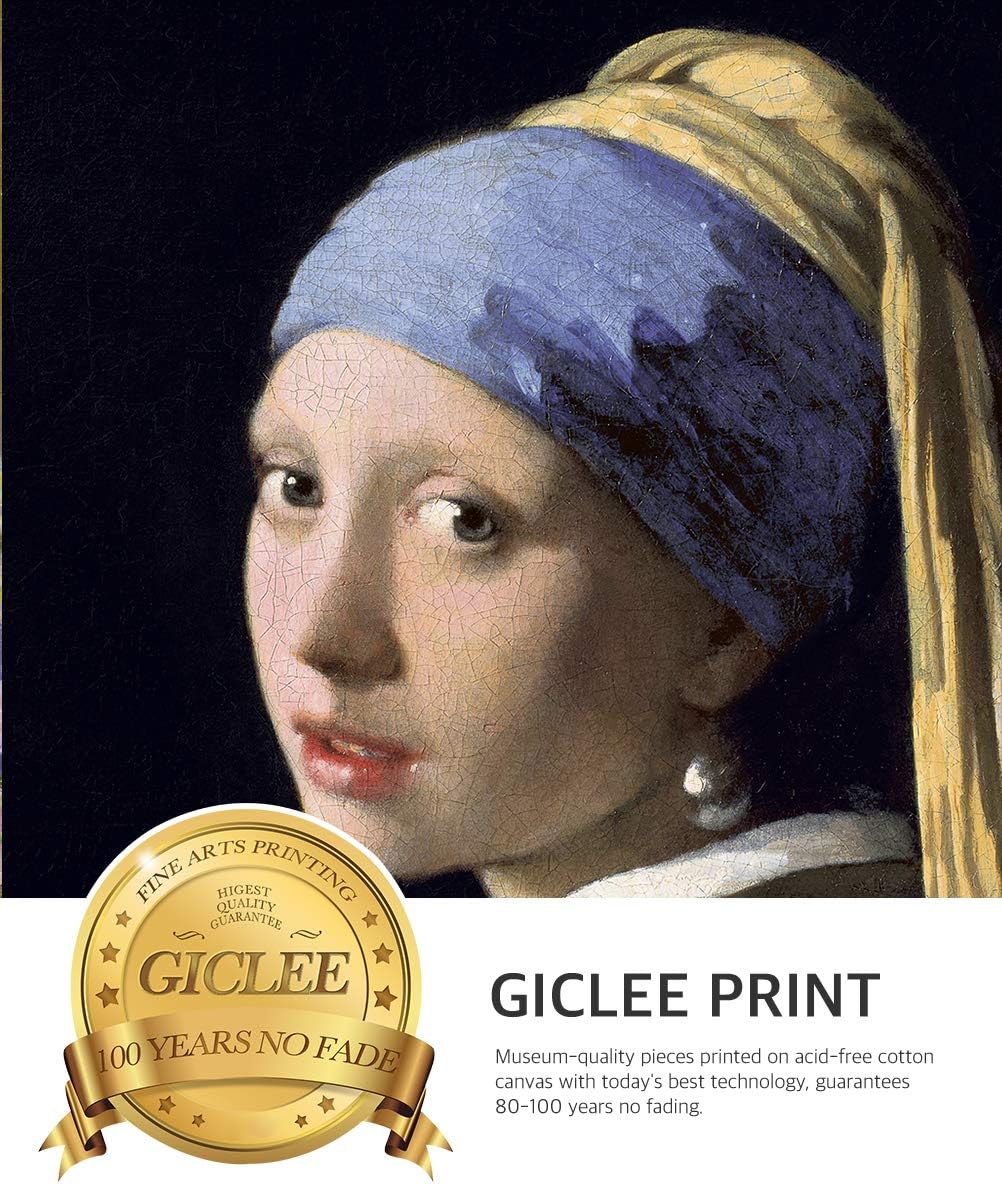 DECORARTS - Girl With A Pearl Earring, Johannes Vermeer Classic Art. Giclee Prints Framed Art for Wall Decor. Framed size: 26x30