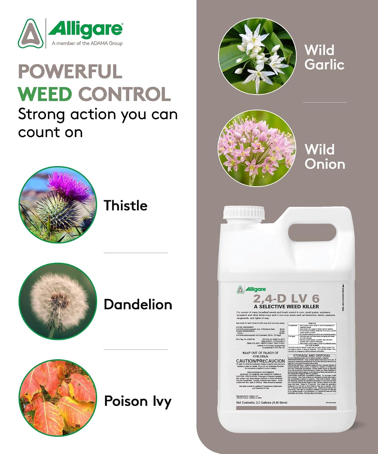 Alligare LV 6 2,4-D Selective Weed Killer Concentrate - Post-Emergent Herbicides to Control Broadleaf Weeds/Brush in Corn, Soybeans (Preplant) & Rights-of-Way - 88.4% Active Ingredient - 2.5 Gallons