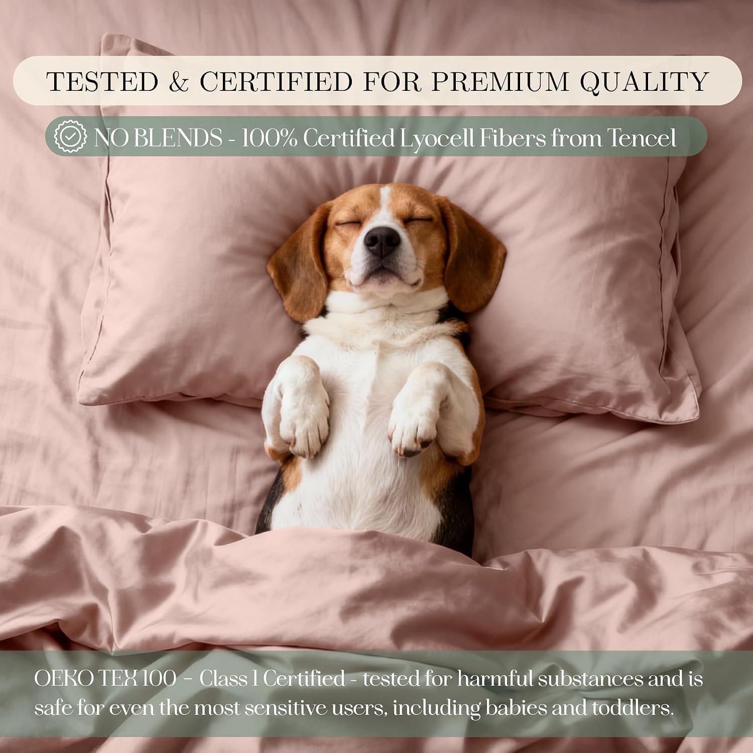 CASILVA Eucalyptus Sheets - Infused with Silver for Anti-Odor, Softer Than Silk Fibers, More Cooling Than Cotton - Perfect for Hot Sleepers & Sensitive Skin - 100% Tencel Lyocell - Queen Sheet Set