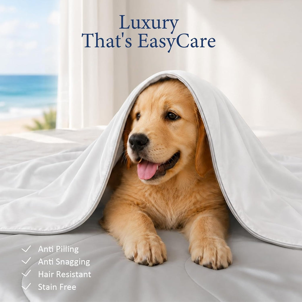 Soft Cooling Comforter, Full/Queen Cooling Blankets for Hot Sleepers, Double-Sided All-Season Cold Breathable Lightweight Blanket for Night Sweats, Arctic White, 90''x90''