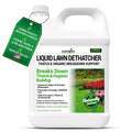 Covington Liquid Lawn Dethatcher (2.5 Gal) – Liquid Aerator Concentrate & Humic Thatch Remover, Soil Softener & Grass Thatch Buster for Lawns & Gardens – Kids & Pet Safe, Made in USA