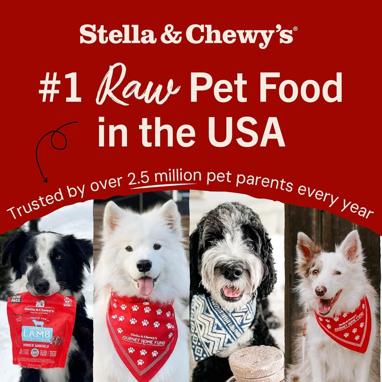 Stella & Chewy's Freeze-Dried Raw Beef Meal Mixers- Dog Food Topper and Mixer - Made with 95% Grass-Fed Beef,Organs & Bone - Perfect for Picky Eaters - Grain-Free - 35 oz,(Pack of 2)