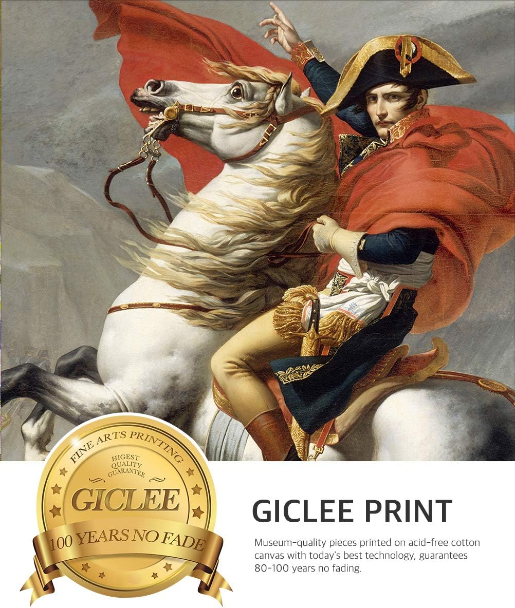 DECORARTS - Napoleon Crossing The Alps, Jacques Louis David Classic Art. Giclee Prints Framed Art for Wall Decor. Framed size: 26x30