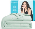 Breescape Cooling Comforter Blanket - BlendTek Q-Max>0.46 Tech, Cooling Blanket for Hot Sleepers & Night Sweats Relief, Breathable Lightweight Summer Bedding, Queen 96x96 Inches, Mint Green
