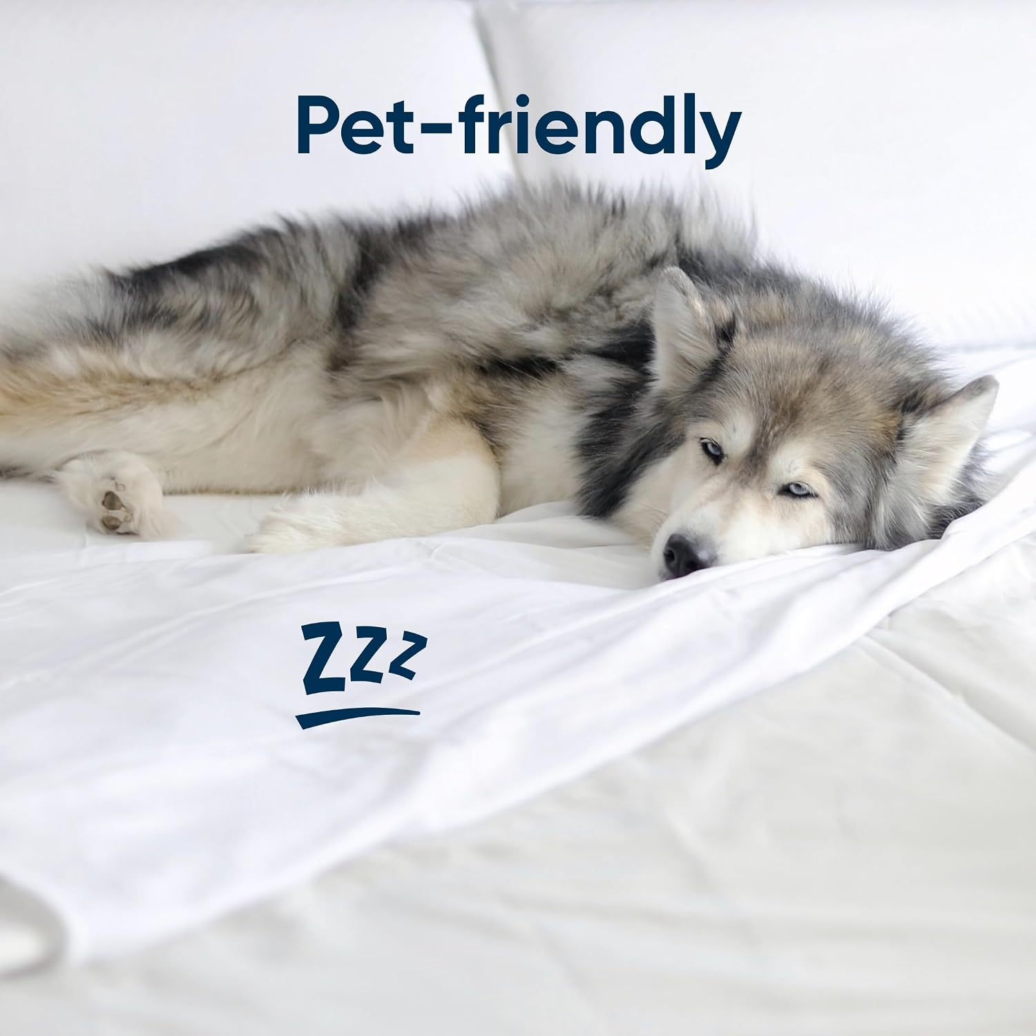 Vesta Sheet Set – Soft, Breathable & Cooling, 100% Viscose Derived from Bamboo, Perfect for a Comfortable Sleep, Includes 1 Fitted Sheet, 1 Flat Sheet & 2 Pillowcases (Alaskan White, King/Cali King)