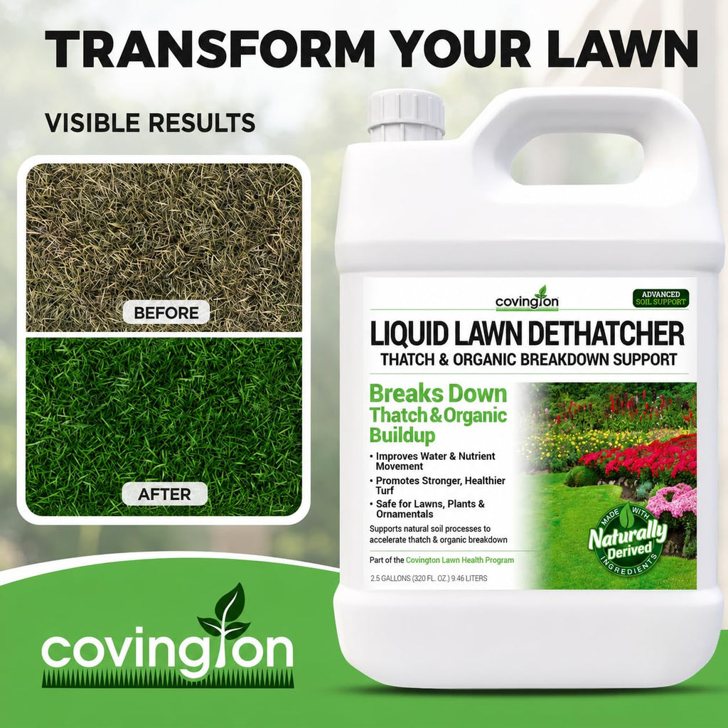 Covington Liquid Lawn Dethatcher (2.5 Gal) – Liquid Aerator Concentrate & Humic Thatch Remover, Soil Softener & Grass Thatch Buster for Lawns & Gardens – Kids & Pet Safe, Made in USA