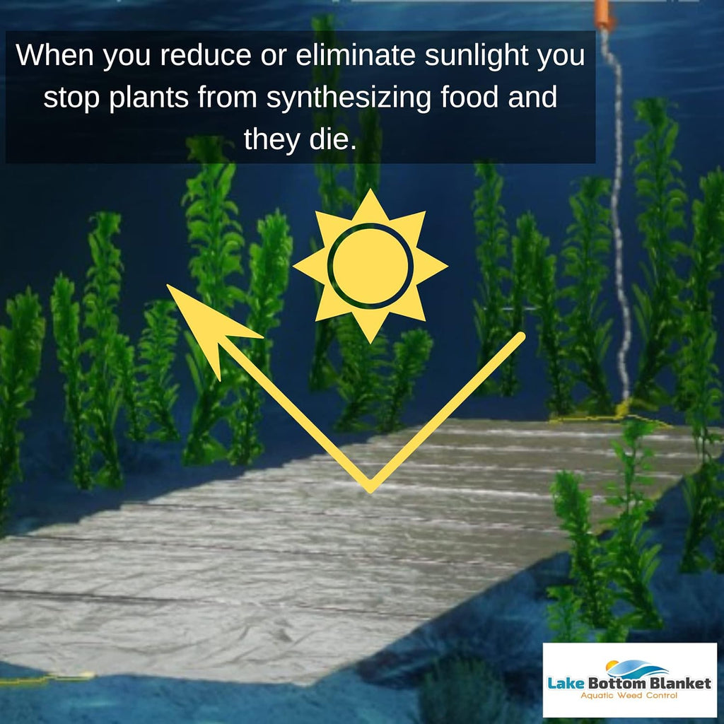 Aquatic Weed Control | Chemical-Free Vegetation Inhibitor for Lakes & Ponds | Benthic Barrier | Instant Weed Free Swimming (10.75 feet x 50 feet)