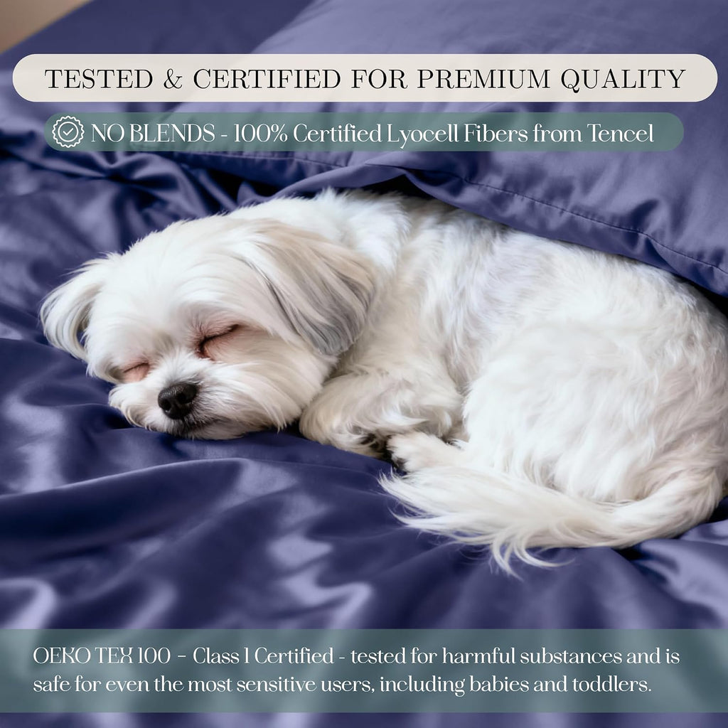 CASILVA Eucalyptus Sheets - Infused with Silver for Anti-Odor, Softer Than Silk Fibers, More Cooling Than Cotton - Perfect for Hot Sleepers & Sensitive Skin - 100% Tencel Lyocell - Queen Sheet Set
