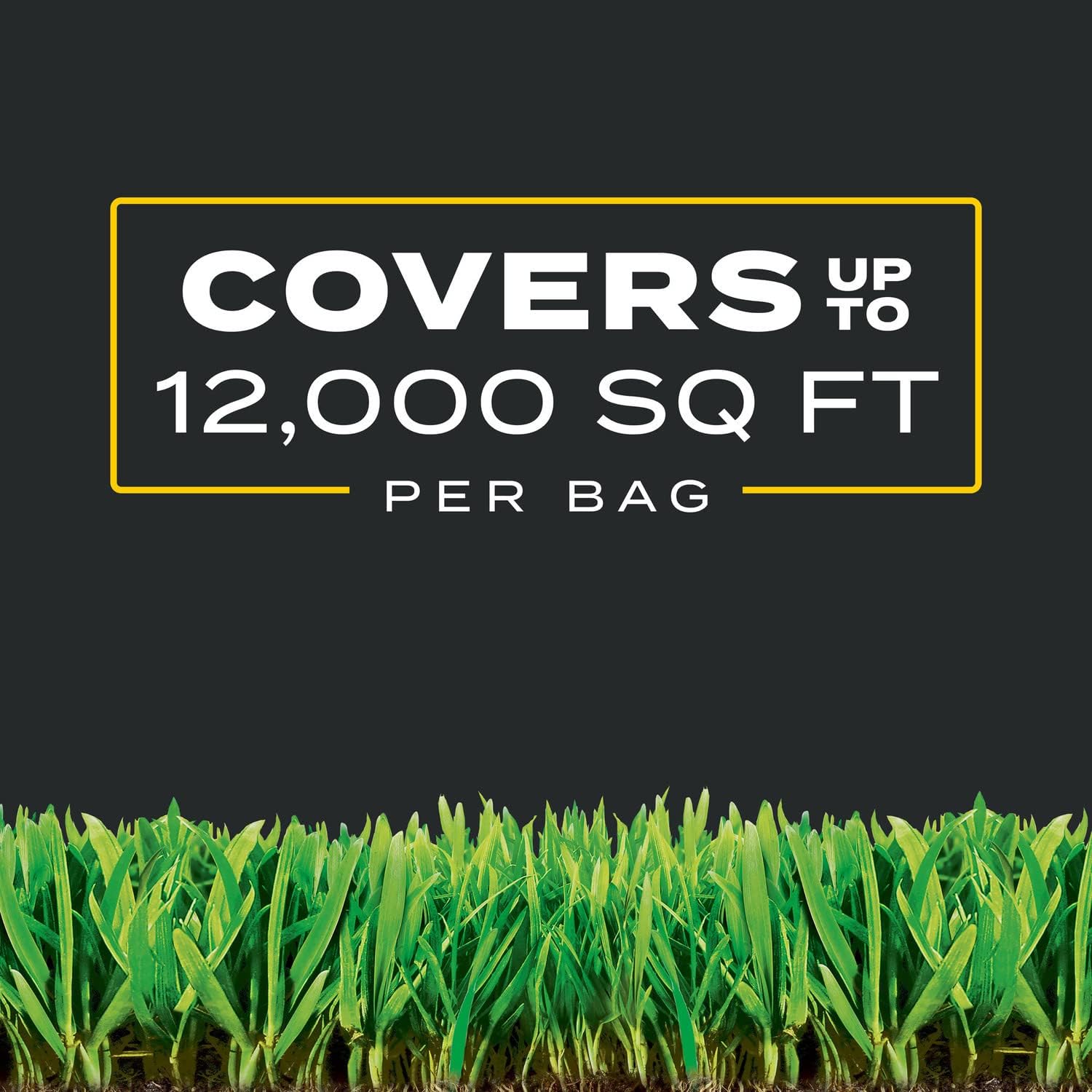 Scotts Turf Builder Triple Action1 - Weed Control, Lawn Weed Killer, Crabgrass Preventer, and Grass Fertilizer for Lawns, Covers 12,000 sq. ft., 33.94 lb. (2-Pack)