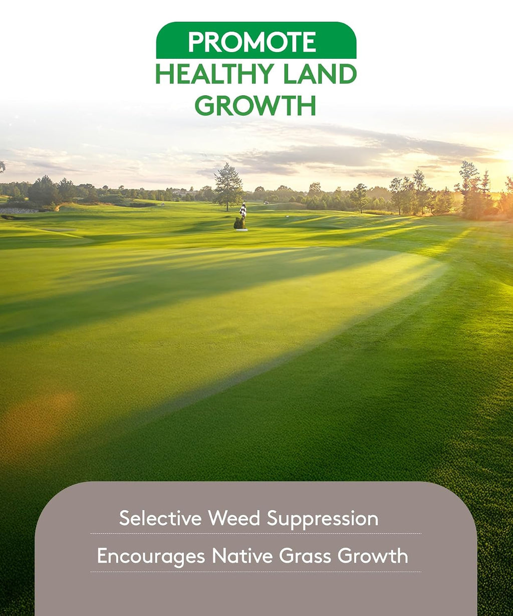 ALLIGARE Panoramic 2SL Herbicide Weed Killer - Versatile Imazapyr Herbicide for Lasting Control of Annual Grasses & Broadleaf Weeds in CRP, Pastures, Rights-of-Way & Industrial Sites - 1 Gallon
