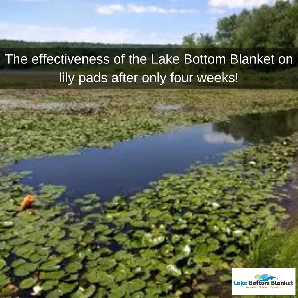 Aquatic Weed Control | Chemical-Free Vegetation Inhibitor for Lakes & Ponds | Benthic Barrier | Instant Weed Free Swimming (10.75 feet x 50 feet)
