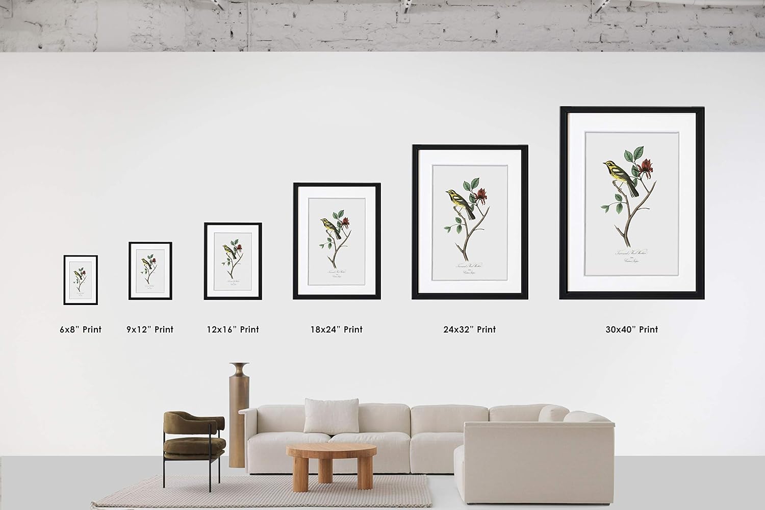 LIVESTOCK Classic Prints Gallery Rock-Wren Bird Wall Art by Famed Illustrator John James Audubon, 18th Century Retro Vintage Bird Print Painting, Black frame, 9x12 print in 13x16 frame