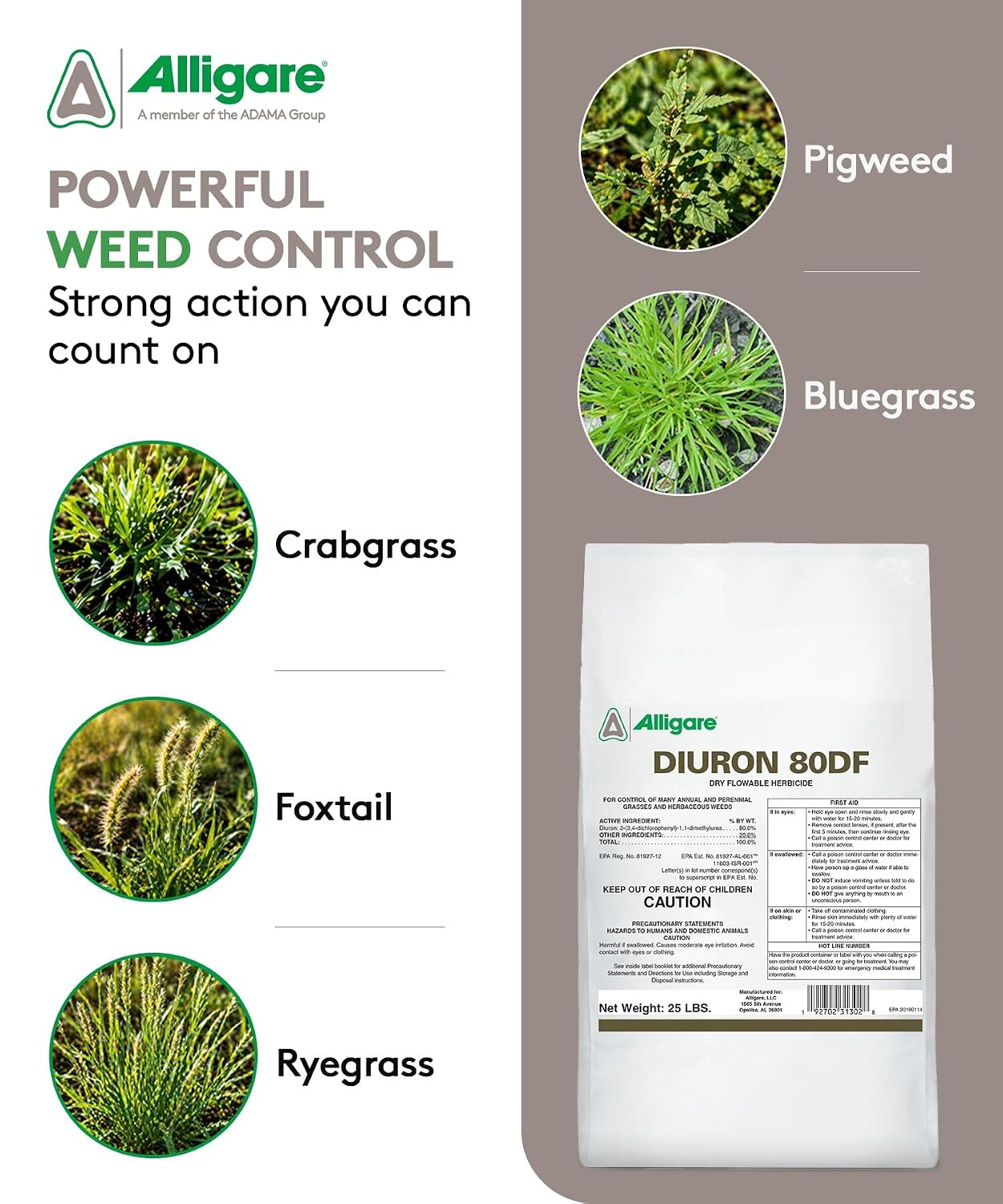 Alligare Diuron 80 DF Herbicide - Pre and Post Emergent Weed Killer for Industrial & Non-Crop Areas - Controls Crabgrass, Ryegrass & Broadleaf Weeds - Dry Granules for Ground Application - 25 lb