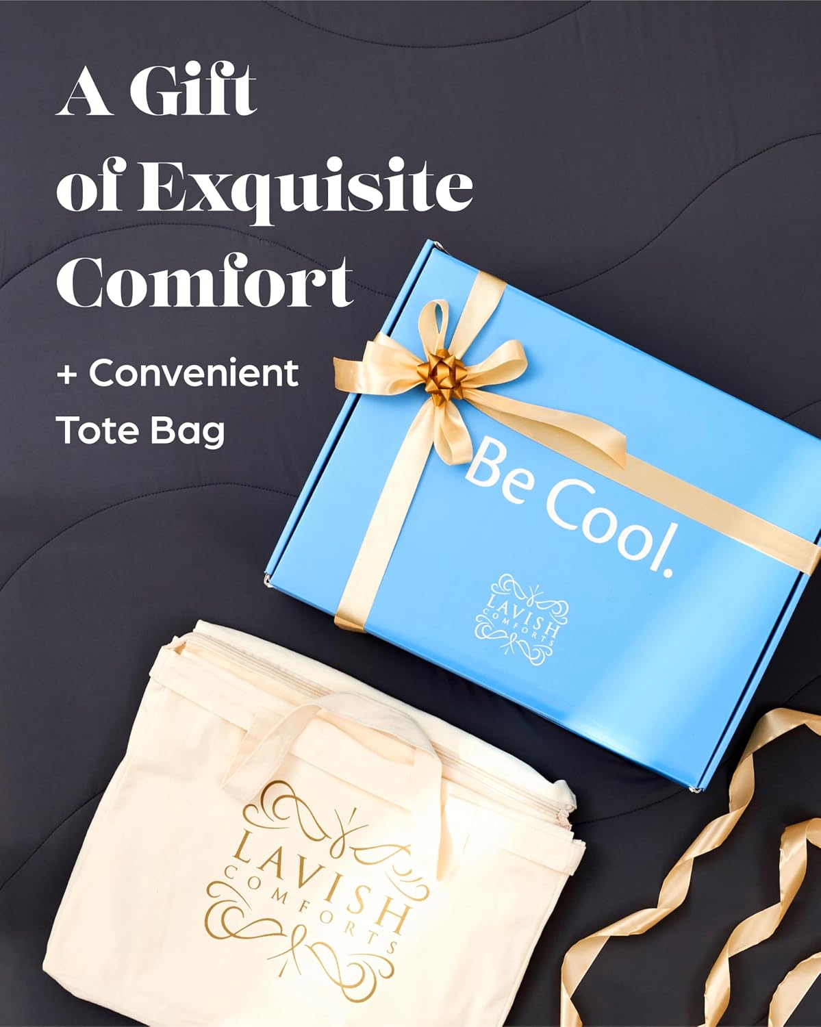 Lavish Comforts Cooling Comforter Queen Size 90x90, Cooling Blanket for Hot Sleepers & Night Sweats, Breathable Lightweight All Season Bedding Comforter, Soft Dark Grey Duvet Insert