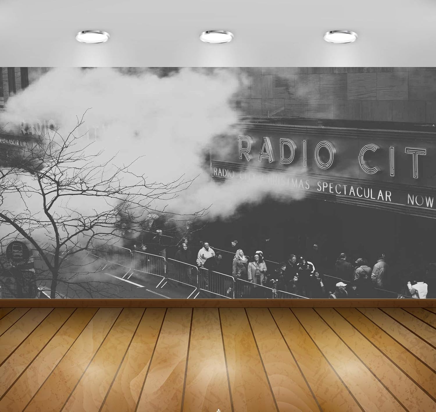Avikalp Exclusive Awi4729 Radio City Music Hall Music Instrument Song Full HD Wallpapers (304cm x 243cm)