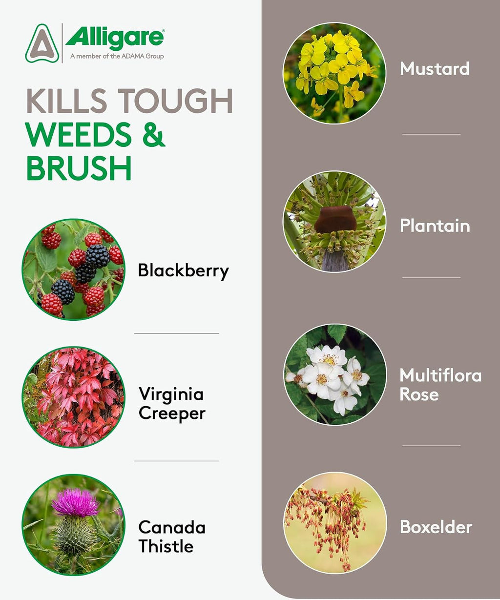 ALLIGARE - Triclopyr Herbicide 4 EC Selective Weed Killer for Woody Plants, Brush for Forestry, Pastures, Rights-of-Way, Wetlands & Industrial Sites - Compare to Garlon 4 & Remedy - 2.5 Gallon