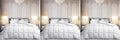 Martha Stewart White Goose Feather Down Fiber Comforter Queen Size- All Season Duvet Insert, Noiseless Fabric with 51oz Filled Luxury Cloud Fluffy Bed Comforter with 8 Corner Loops, White 90x90inch