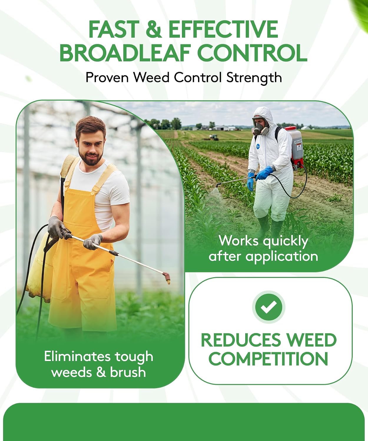 Alligare LV 6 2,4-D Selective Weed Killer Concentrate - Post-Emergent Herbicides to Control Broadleaf Weeds/Brush in Corn, Soybeans (Preplant) & Rights-of-Way - 88.4% Active Ingredient - 2.5 Gallons