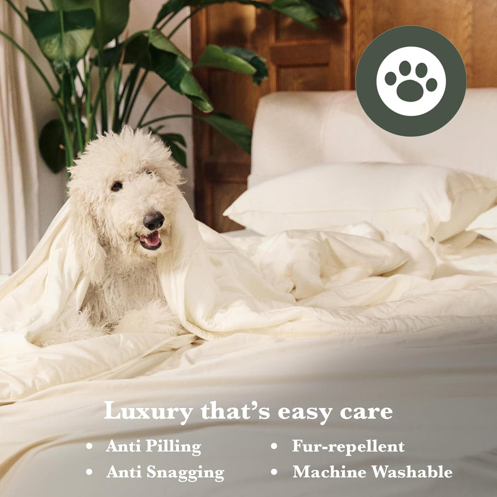 Luxury Bamboo Viscose Duvet Cover | Pure Bamboo Viscose, Soft, Breathable and Cooling for Hot Sleeper | Piped Edge, Hidden Zipper Closure, 8 Corner Ties and Button Closure (Ice Grey, Queen)