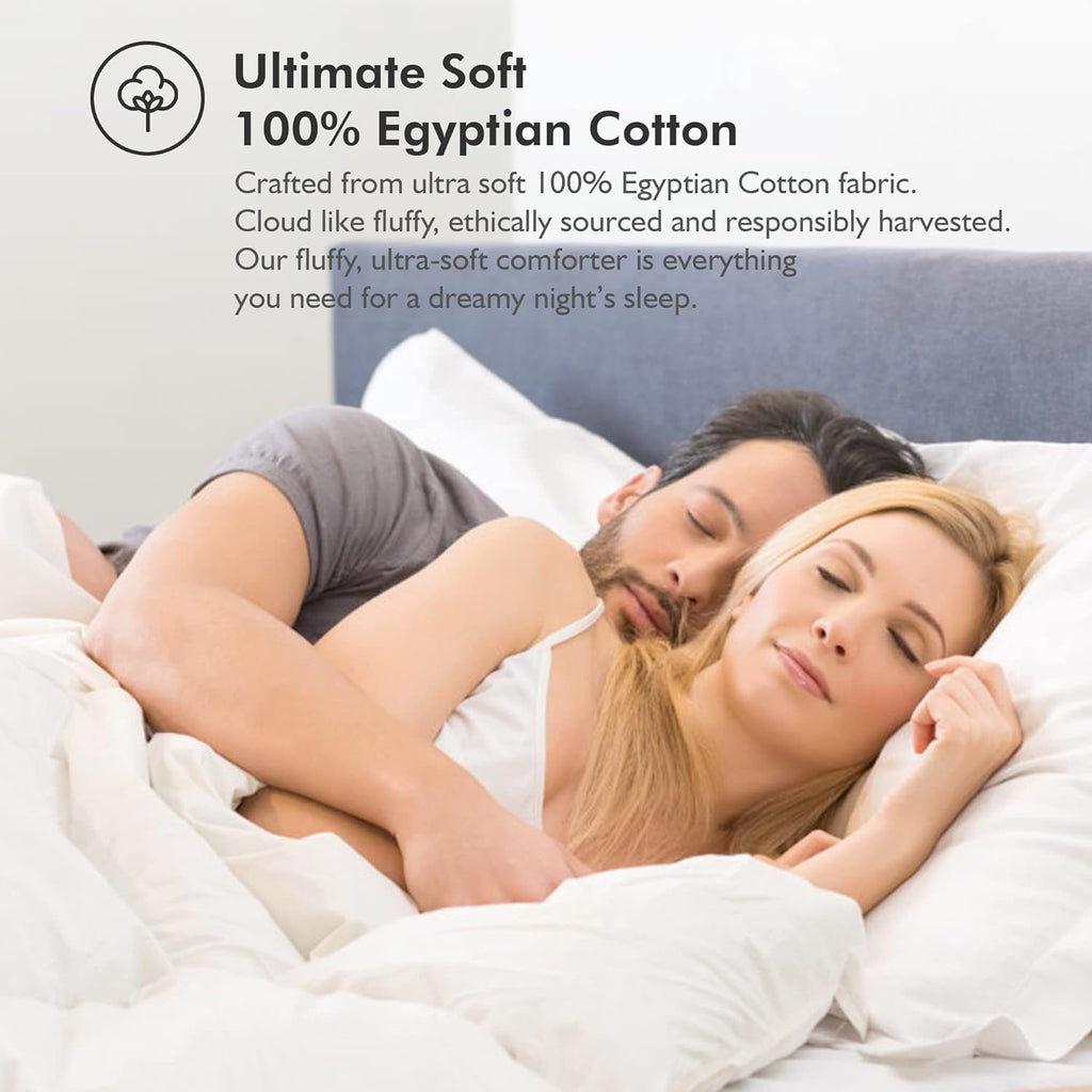 Luxurious Queen Size Goose Down Feather Fiber Comforter Duvet Insert, 100% Egyptian Cotton Cover, 60 oz. Fill Weight Comforter (Queen, Gray Stripe)