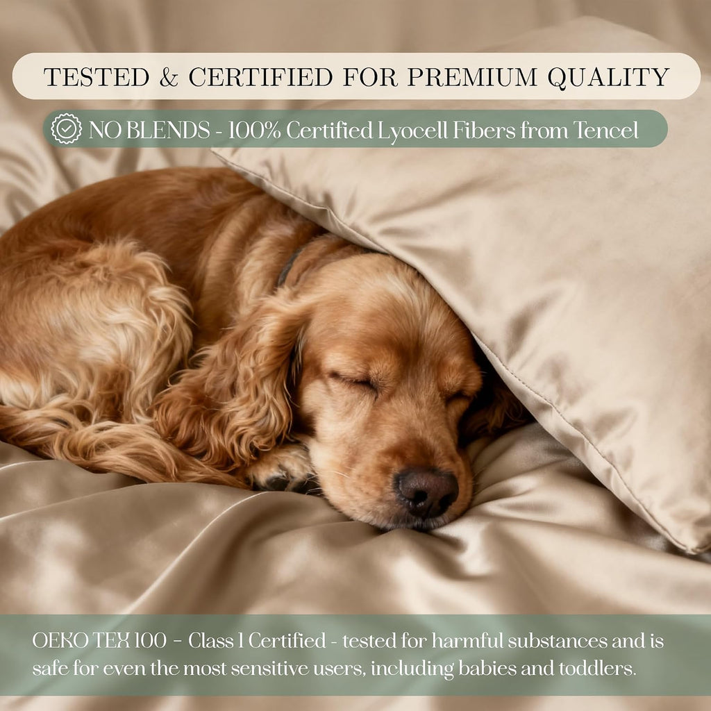 CASILVA Eucalyptus Sheets - Infused with Silver for Anti-Odor, Softer Than Silk Fibers, More Cooling Than Cotton - Perfect for Hot Sleepers & Sensitive Skin - 100% Tencel Lyocell - Queen Sheet Set
