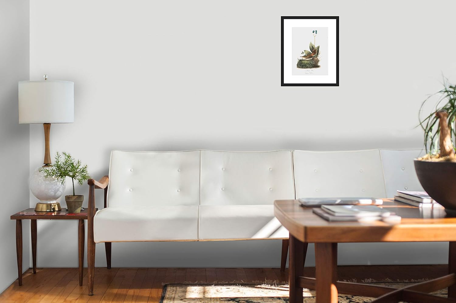 LIVESTOCK Classic Prints Gallery Rock-Wren Bird Wall Art by Famed Illustrator John James Audubon, 18th Century Retro Vintage Bird Print Painting, Black frame, 9x12 print in 13x16 frame