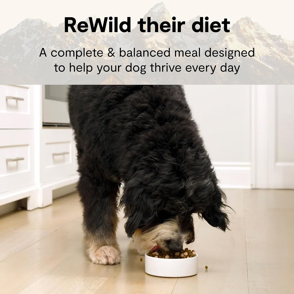 Open Farm, RawMix Grain-Free Dry Dog Food for Large Breeds, Protein-Packed Kibble Coated in Bone Broth with Freeze Dried Raw Chunks, Salmon Chicken & Turkey, Large Breed Recipe, 20lb Bag