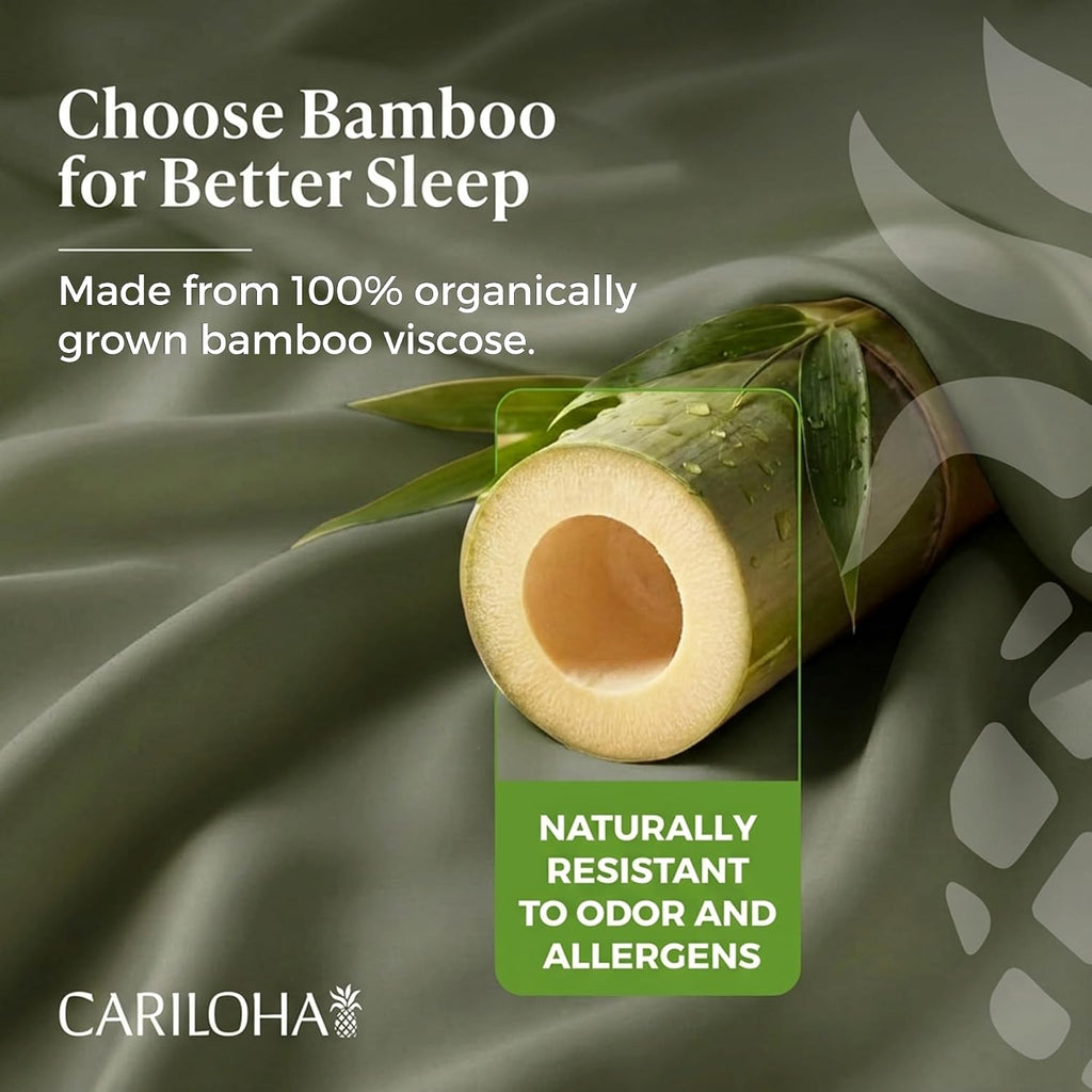 Cariloha Aloha Soft 100% Organic Bamboo Viscose Sheets – 4-Piece Queen Sheet Set – 16 in Deep Pockets – Buttery Soft, Hypoallergenic, Cooling Sheets – Oeko-TEX Standard 100 – Coastal Pine