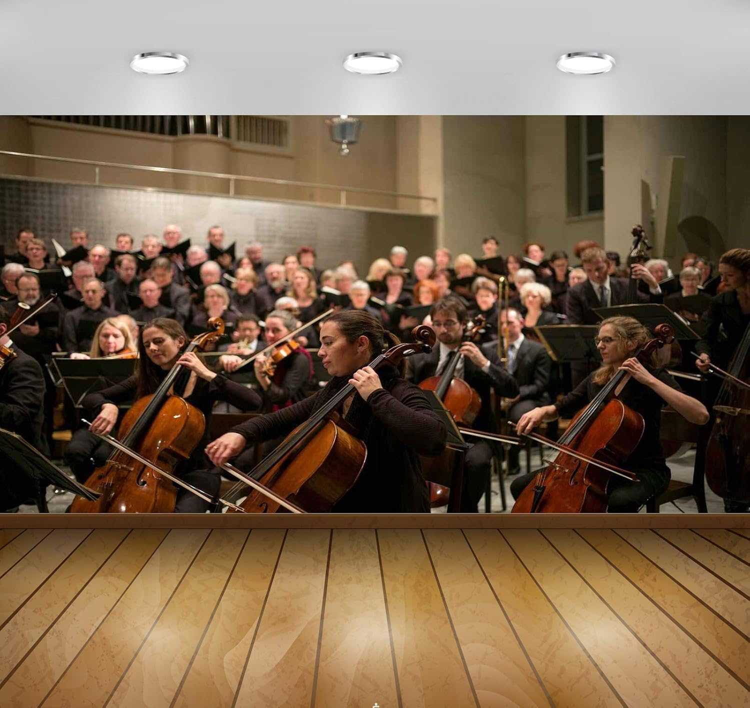 Avikalp Exclusive Awi4690 Classical Music Music Instrument Song Full HD Wallpapers (365cm x 304cm)
