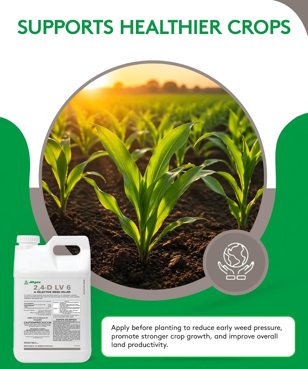 Alligare LV 6 2,4-D Selective Weed Killer Concentrate - Post-Emergent Herbicides to Control Broadleaf Weeds/Brush in Corn, Soybeans (Preplant) & Rights-of-Way - 88.4% Active Ingredient - 2.5 Gallons