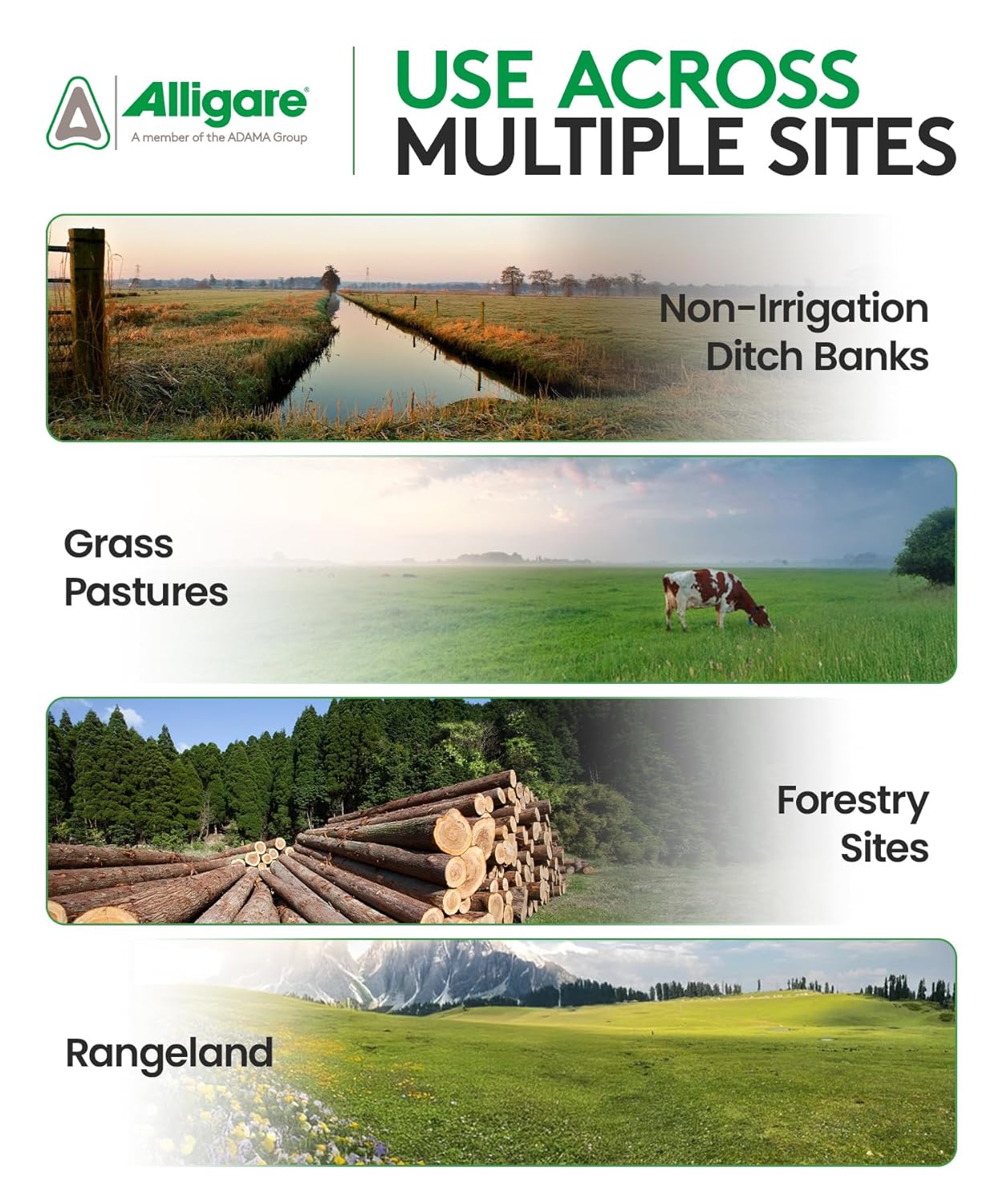 ALLIGARE - Triclopyr Herbicide 4 EC Selective Weed Killer for Woody Plants, Brush for Forestry, Pastures, Rights-of-Way, Wetlands & Industrial Sites - Compare to Garlon 4 & Remedy - 2.5 Gallon