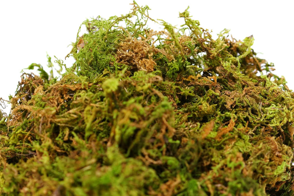 SuperMoss (23817 Mountain Moss – Natural Green Sphagnum Moss for Soil Top Dressing, Potting Mix, Garden Decor, and Craft Projects, 4,950 cu in, Dried