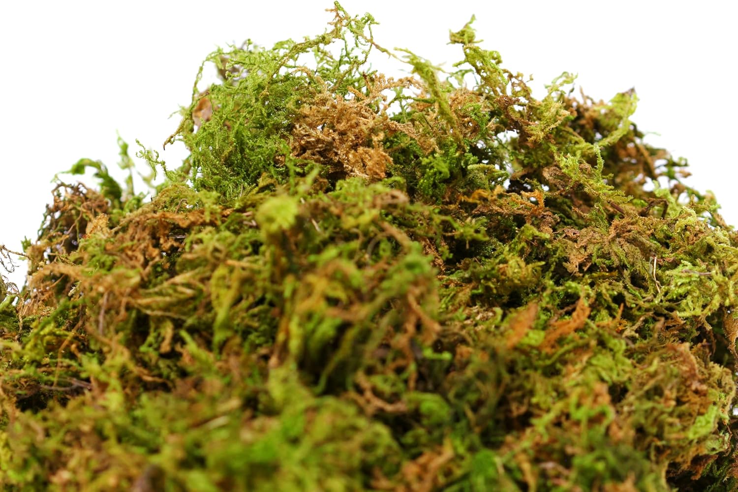 SuperMoss (23817 Mountain Moss – Natural Green Sphagnum Moss for Soil Top Dressing, Potting Mix, Garden Decor, and Craft Projects, 4,950 cu in, Dried