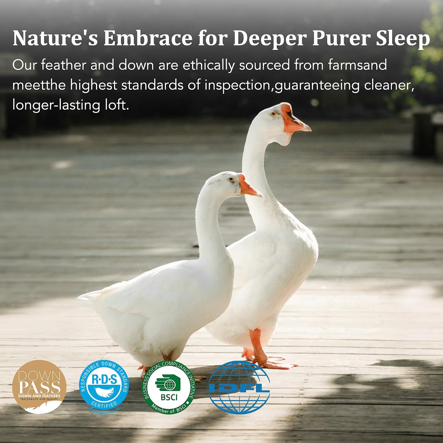Lightweight Feather Down Fiber Comforters Oversize King,Summer Duvet Insert for Hot Sleepers,Hypoallergenic Soft Breathable Comforter with 8 Tabs,Hotel Luxury Mellow Sleep Comforter for All Seasons