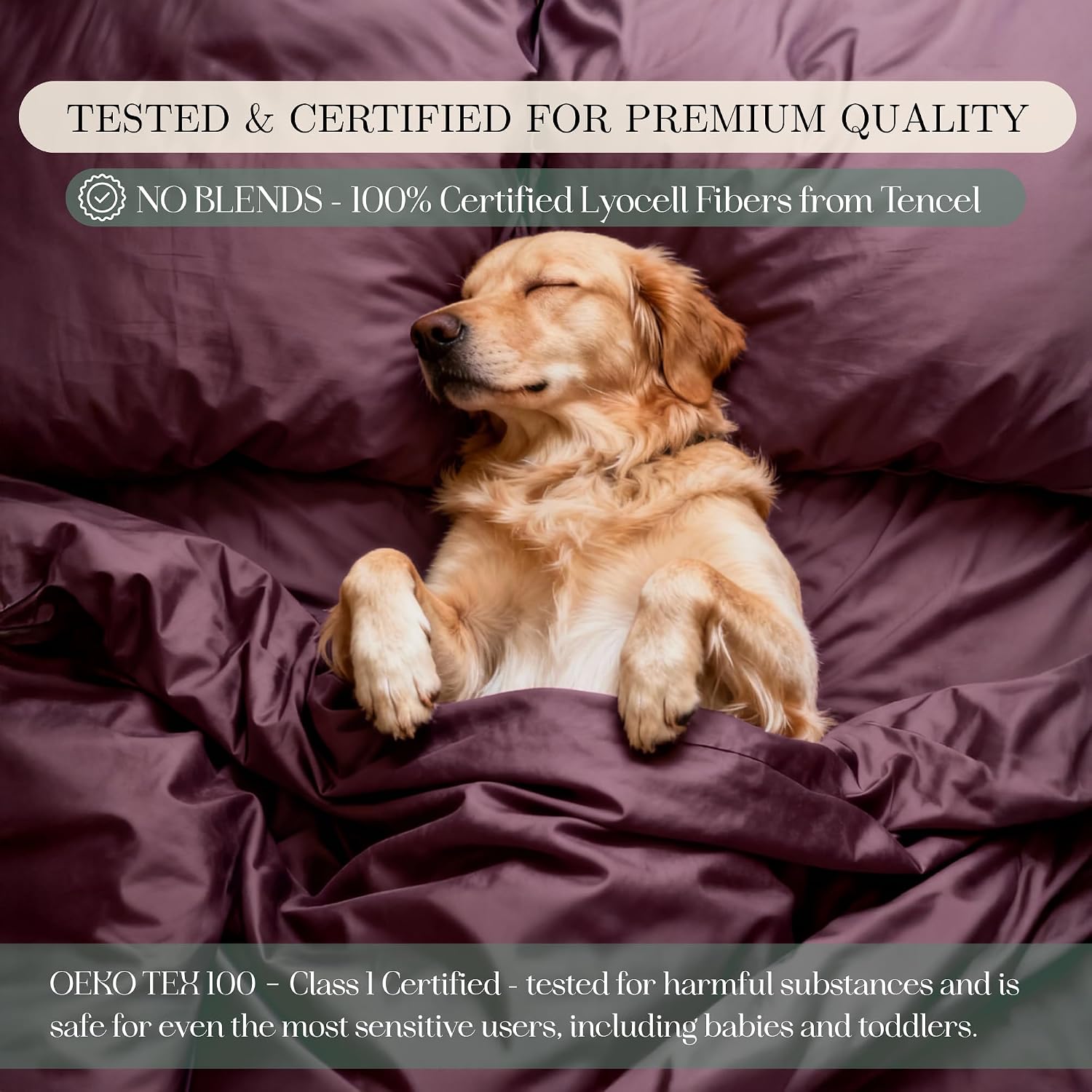 CASILVA Eucalyptus Sheets - Infused with Silver for Anti-Odor, Softer Than Silk Fibers, More Cooling Than Cotton - Perfect for Hot Sleepers & Sensitive Skin - 100% Tencel Lyocell - Queen Sheet Set