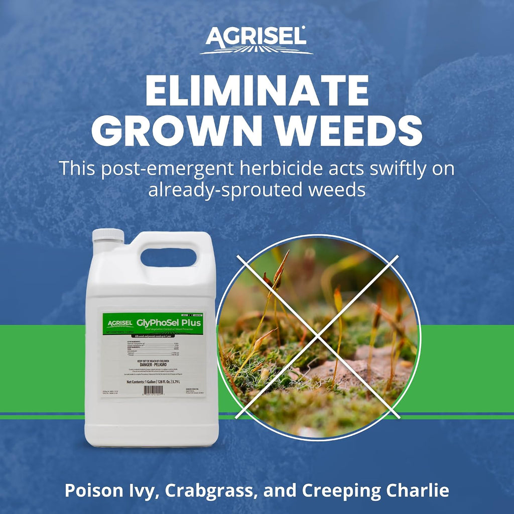 Agrisel GlyPhoSel Plus Weed Killer, Post Emergent, Long-Lasting Action, Eliminates Tough Weeds from Leaf to Root, For Non-Crop Areas, Pet Safe, Includes 3-pack of Agrisel Protective Gloves, 128 Ounces