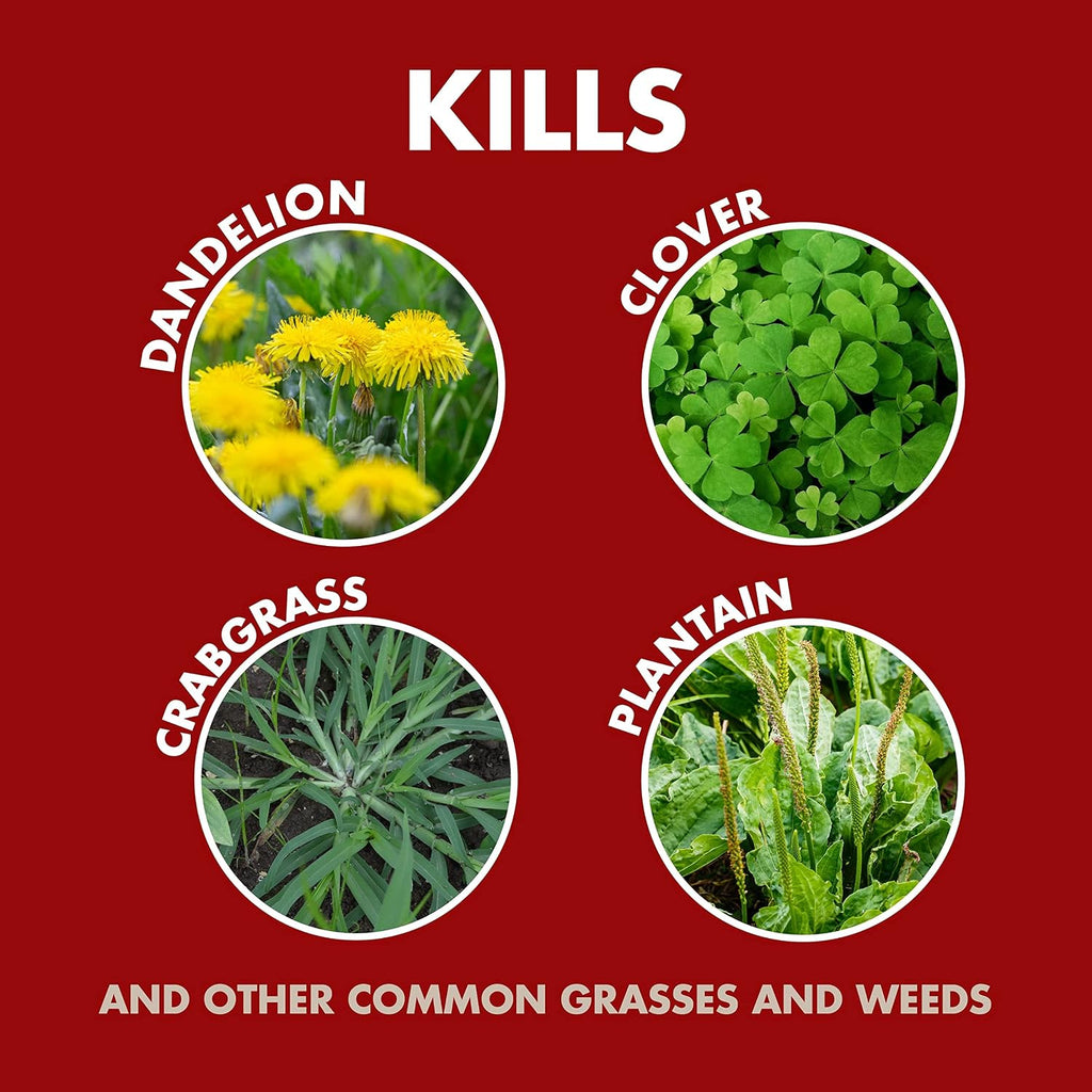 Spectracide Weed & Grass Killer Concentrate, 64-Ounce, 6 Pack