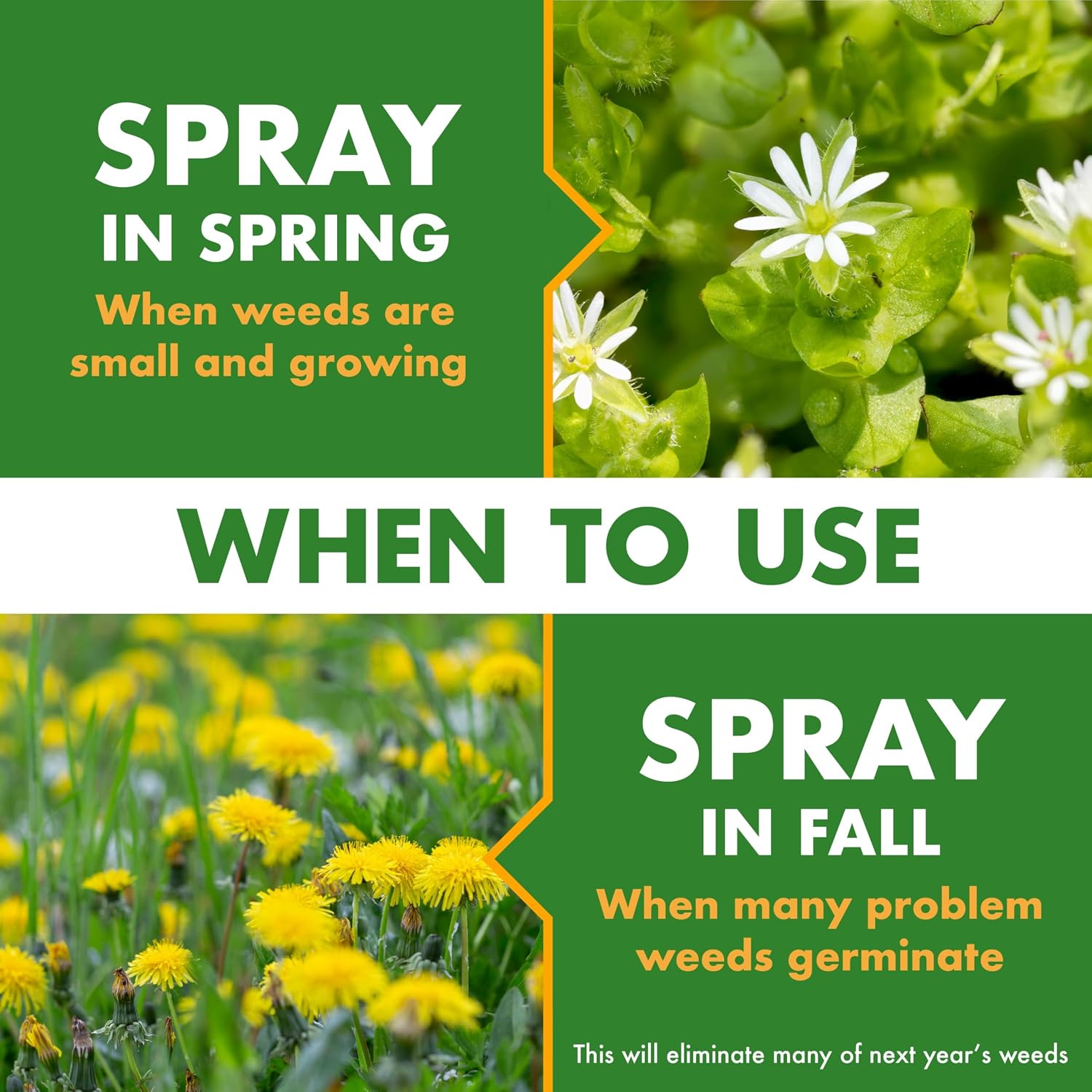 Spectracide Large Plot Weed Stop for Lawns Concentrate, 1 Gallon, Kills More Than 200 Types of Weeds as Listed, Pack of 4