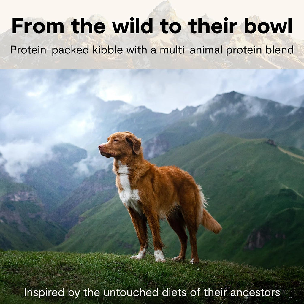 Open Farm, RawMix Grain-Free Dry Dog Food for Large Breeds, Protein-Packed Kibble Coated in Bone Broth with Freeze Dried Raw Chunks, Salmon Chicken & Turkey, Large Breed Recipe, 20lb Bag