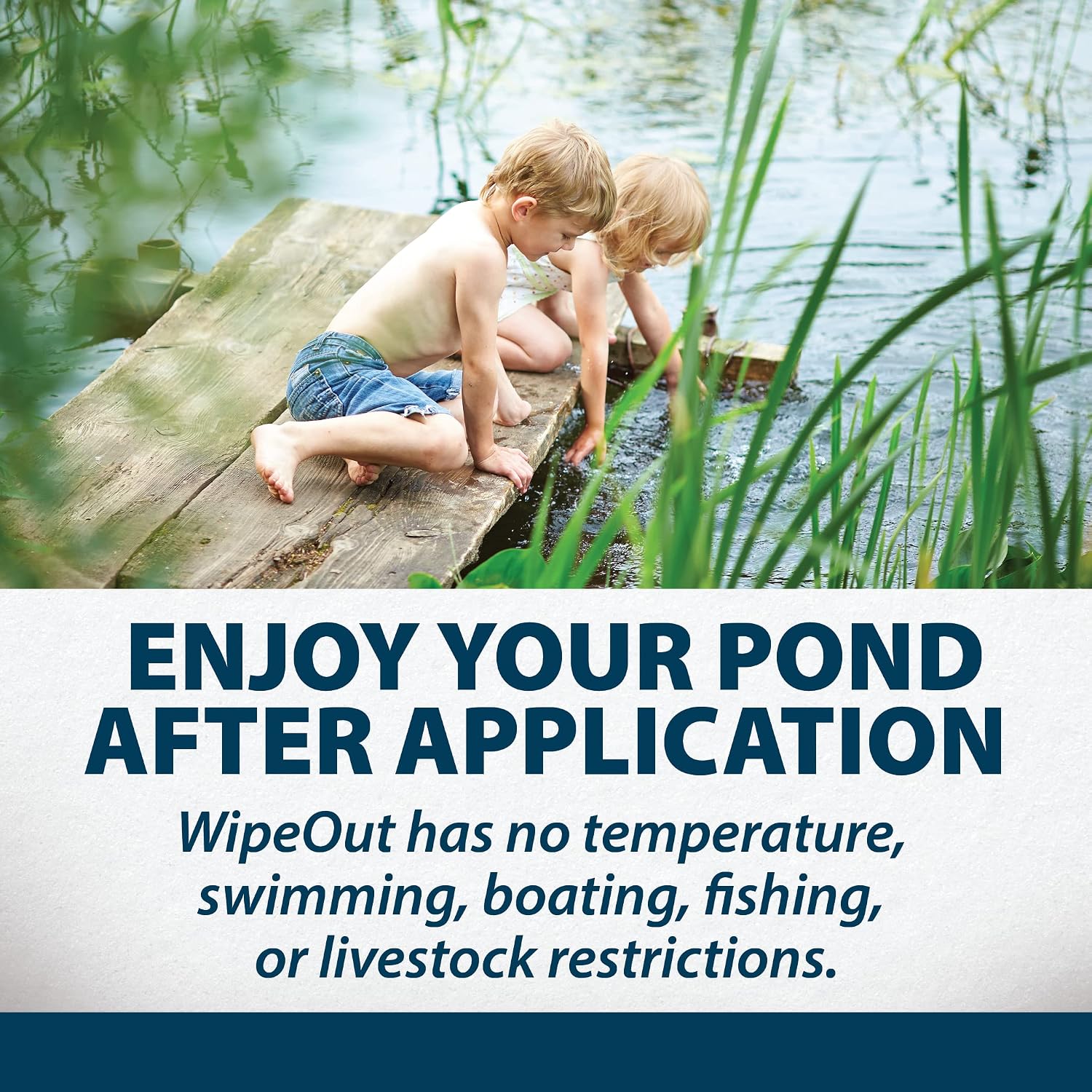 Airmax Wipeout Pond Weed Defense, Herbicide & Aquatic Weed Control, Controls Duckweed & Other Unwanted Submerged & Floating Vegetation, Easy-to-Use & Long Lasting, All-Season Treatment - 24 Ounce