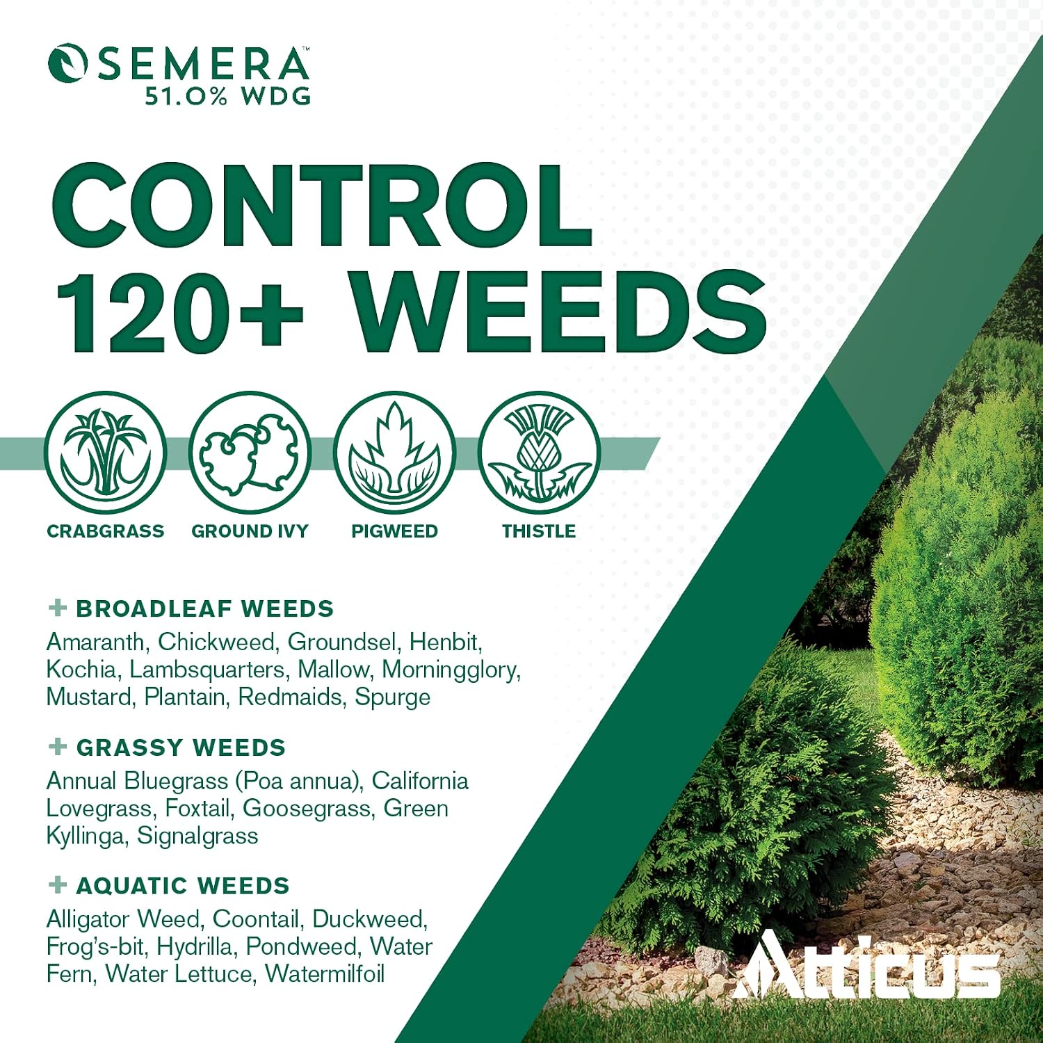 Atticus Semera 51.0% WDG Aquatic Herbicide (1 lb) – Controls Duckweed & Unwanted Submerged & Floating Vegetation - Flumioxazin 51% (Pack of 2)