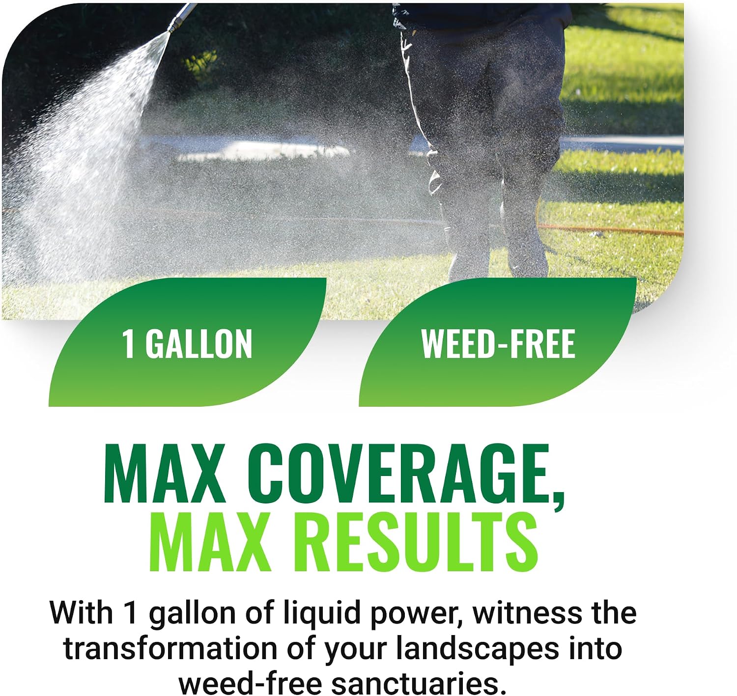 Albaugh Sublime Weed Killer, Unrivaled Defense Against Crabgrass, Creeping Charlie, Dandelions & More, Non-Bleaching Formula, Fast-Acting, Commerical & Residential, 1 Gallon