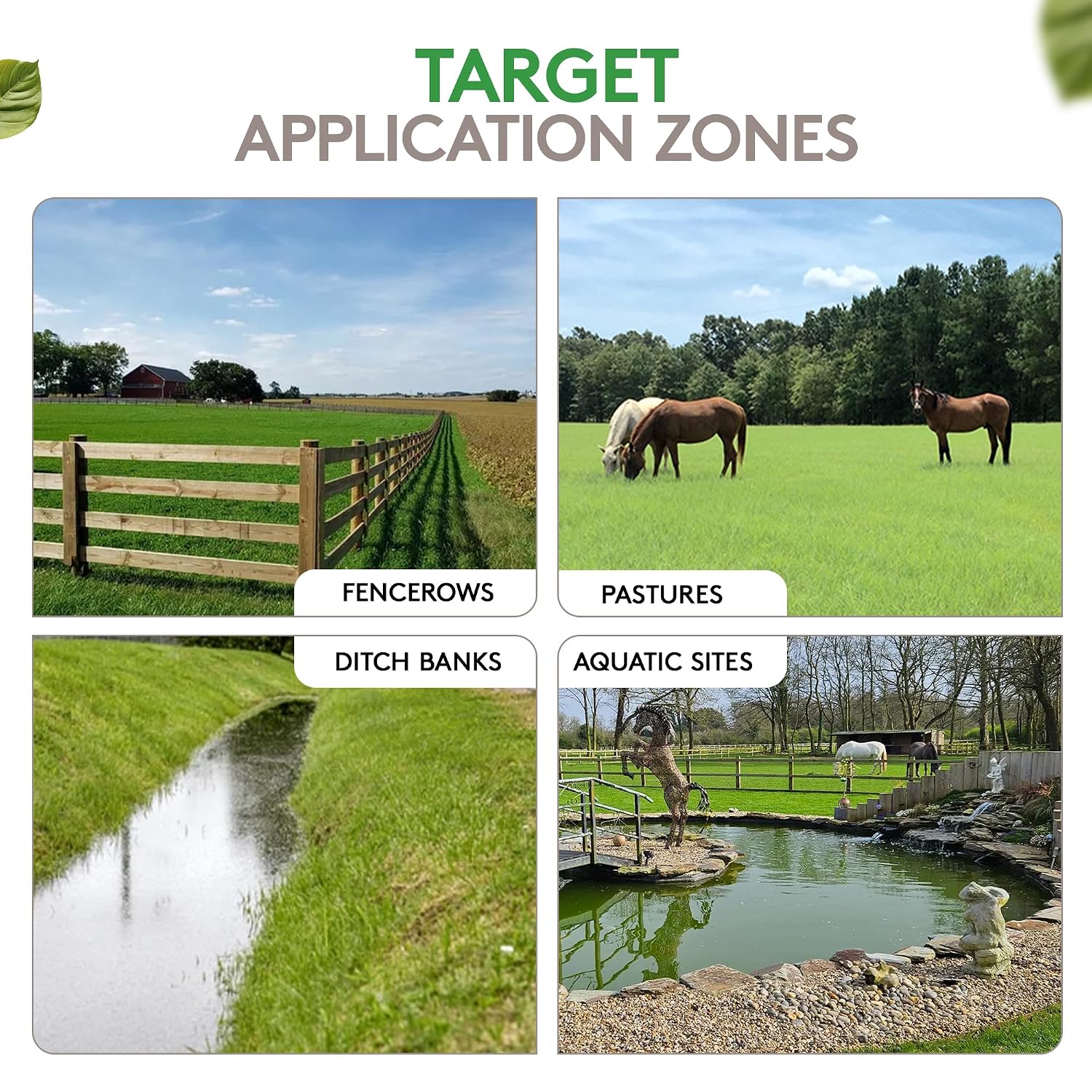 Alligare Imazapyr Herbicide 4 SL for Broad Spectrum Control of 185 Annual, Biennial, and Perennial Weeds & Brush - 2.5 Gallon Liquid Weed Killer, Ideal for Rangeland, Bare-Ground, and Site Preparation
