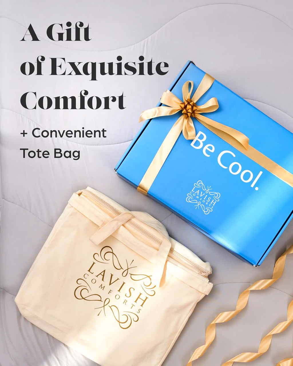 Lavish Comforts Cooling Comforter Queen Size 90x90, Cooling Blanket for Hot Sleepers & Night Sweats, Breathable Lightweight All Season Bedding Comforter, Soft Light Grey Duvet Insert