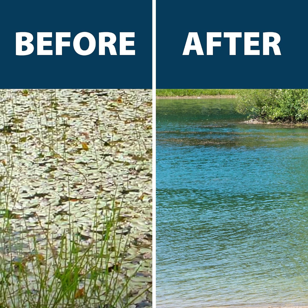 Airmax Ultra Pondweed Defense Aquatic Weed & Plant Killer, Easy Spray Application to Clean & Clear Large Pond & Lake Water, Liquid Treatment Control Concentrate, Fish, Pet & Animal Safe, 1 Gallon